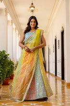 Multicoloured panelled Georgette Lehenga