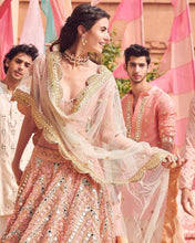 Baby pink and beige desi beats Lehenga