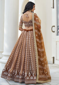 Kelaya collection - brown net Lehenga