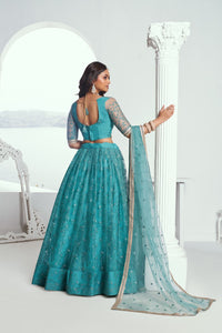 Rama Green butterfly net Lehenga