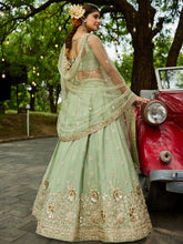 Pista green and gold chinnon embroidered Lehenga