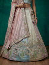 Pastel multicoloured organza lehenga - baby pink