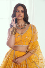 Yellow butterfly net Lehenga