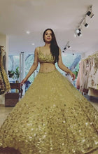 Yellow and gold embellished Lehenga