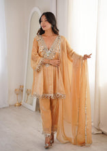 Fendi mirror work salwaar kameez in Chiku