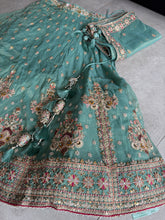 Mint Green Embroidered tissue fabric Lehenga