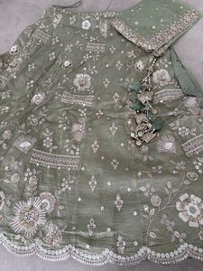 Pista Green Embroidered tissue fabric Lehenga