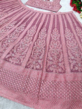 Pink and rose panelled mirror work Lehenga
