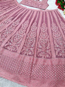 Pink and rose panelled mirror work Lehenga