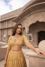 Golden hour - gold embellished net Lehenga
