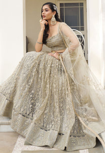 Kelaya collection - ivory net Lehenga