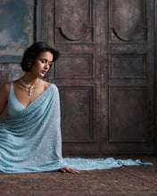 Sky blue sequinned saree