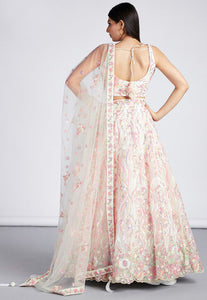 Cream floral embroidered net Lehenga