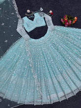 Stylish sky butterfly net Lehenga