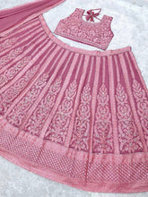 Pink and rose panelled mirror work Lehenga