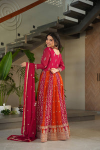 Two coloured panelled anarkali