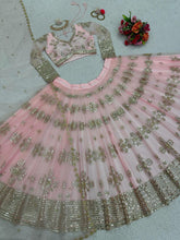 Baby pink and gold motifs butterfly net Lehenga