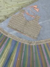 Pastel rainbow panelled Lehenga