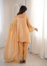 Fendi mirror work salwaar kameez in Chiku