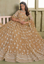Chiku gold mirror work Lehenga