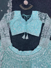 Stylish sky butterfly net Lehenga