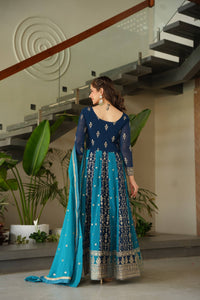 Two coloured panelled anarkali