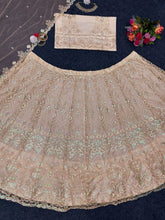 Pastel nude/beige thread sequins Lehenga
