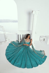 Rama Green butterfly net Lehenga