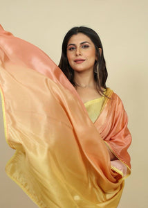 Alia Bhatt inspired ombre shaded satin chinnon saree - 6 colours