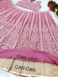 Pink and rose panelled mirror work Lehenga