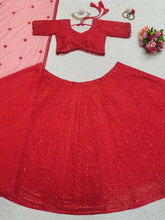 Red sparkly georgette Lehenga