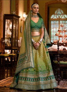 Riyana - rajwadi silk Lehenga in gorgeous green shades