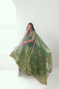 Pista green butterfly net Lehenga