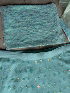 Mint green glam Lehenga