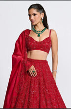 Red vichitra silk embellished Lehenga