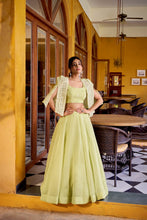 Pale pink and light green readymade Lehenga with koti