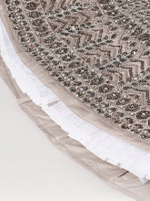 Beige Net Mirror & Sequins Embroidery