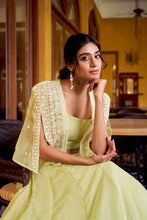 Pale pink and light green readymade Lehenga with koti