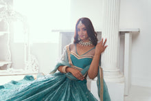 Rama Green butterfly net Lehenga