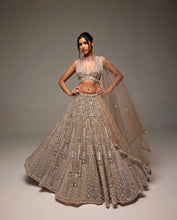 Gold net Lehenga