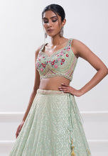 Karla collection - sky blue Lehenga