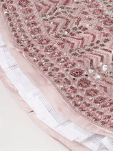 Rosegold Net Mirror & Sequins Embroidery