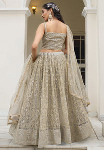 Kelaya collection - ivory net Lehenga