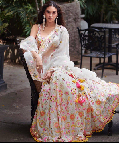 White Lehenga with multi coloured thread work