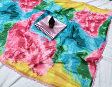 Alia Bhatt multi coloured saree