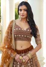 Kelaya collection - brown net Lehenga