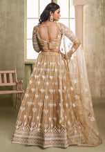 Chiku gold mirror work Lehenga