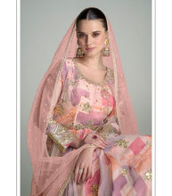 Ahana - Pale pink floral chinon mirror work anarkali