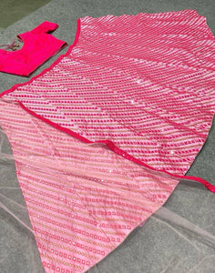 Pink striped mirror work Lehenga