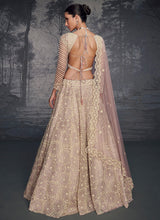 Blush pink net embroidered readymade lehenga with belt